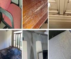 Mould Inspection Sydney | Mould Testing Sydney | Integrated Environmental