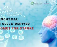 Stem Cell Therapy to Treat Stroke