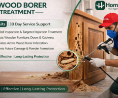 Protect Your Wooden Furniture with Hommlie Wood Borer Control Services Near Me