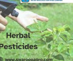 Protect Your Plants Naturally with Herbal Pesticides