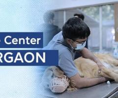 Pet Care Center In Gurgoan | CGS Hospital