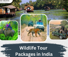 India Tour Packages from USA | Squid Travel