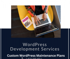 WordPress Development & Maintenance Services In San Diego | SynergyTop