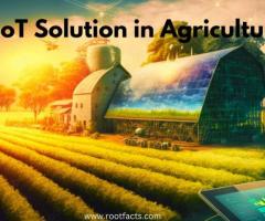 IoT Solution in Agriculture