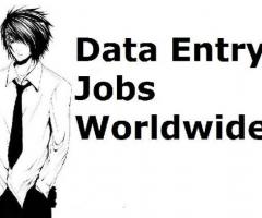 Data Entry Operator/ Back Office Executive Required Urgently