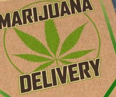 Reliable Weed Delivery in San Jose | Golden We