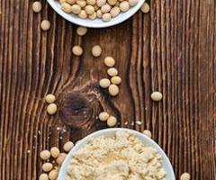 Soy lecithin granules | Lecilite Ingredients