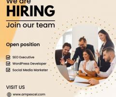 Career Openings for UI/Web Designer, Internet Marketing, Software Developer