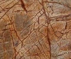 Rainforest Brown Marble in India