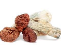 Buy Blue Meanie Cubensis Mushrooms USA