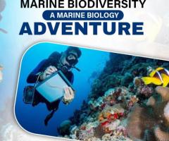 Explore Bali’s Marine Biodiversity: A Marine Biology Adventure