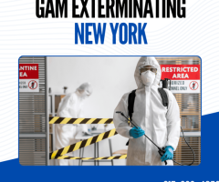 Gam Exterminating New York