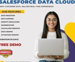 Best Salesforce Data Cloud Online Training | Online Course