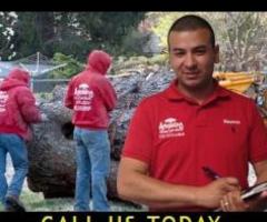 Commercial Tree Service in NJ – Amazing Tree Services