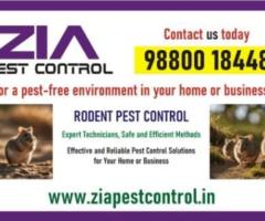 Zia Pest Control | Rat Mice and Lizard | 30% Off for Residence and Office | 5051