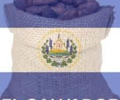 Organic Cocoa Beans