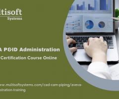 AVEVA P&ID Administration Online Training And Certification Course