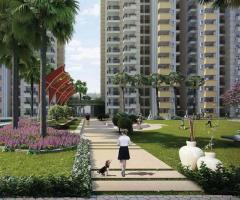 2 and 3 BHK Apartments for Sale in Noida Extension
