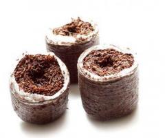Find the sustainable way of using coconut coir for hydroponics from RIOCOCO