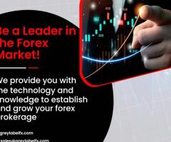 Revolutionizing Forex Trading with Cutting-Edge Solutions