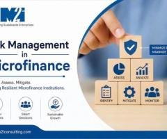 Professional Microfinance Risk Advisory Services