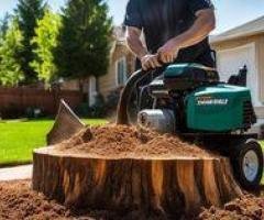 Reliable Stump Grinding Services Near You