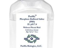 PBS 10X Protocol – Reliable Buffer Solution for Lab Applications