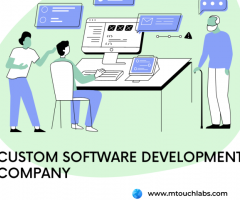 Custom Software Developers Company