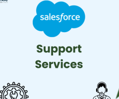 Hire Expert Support & Maintenance Services provider seamless operations