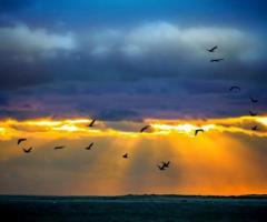 Premium Landscape Photography Prints Available