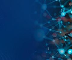 Best SAP Business One
