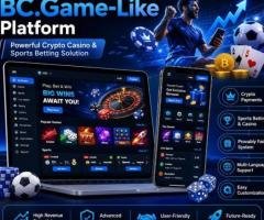 Budget-Friendly BC.Game Clone Solution - ROI Guaranteed