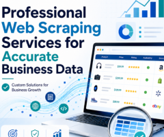 Professional Web Scraping Services for Accurate Business Data