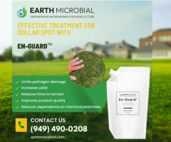 Effective Treatment for Dollar Spot with En-Guard | Earth Microbial