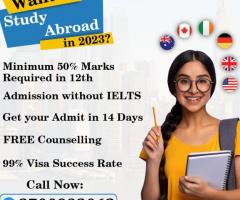 Overseas Education Consultancy to help you Study Abroad