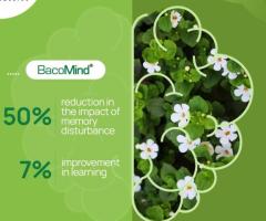 Boost Cognitive Function with Bacomind® – The Ultimate Brain Health Supplement