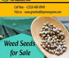 Weed Seeds for Sale - Green Leaf Dispensary Store
