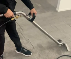 Refresh Your Home with Manly’s Best Carpet Cleaning Service – 100% Satisfaction