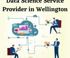 Data Science Service Provider in Wellington