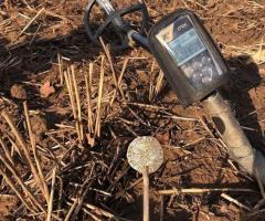 XP ORX The best detector for sale