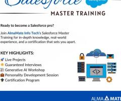 AlmaMate Info Tech - Best Salesforce Training in Noida