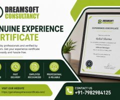 Expert Experience Certificate Provider in Mumbai