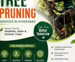 Expert Tree Pruning & Tree Care Services in Hyderabad