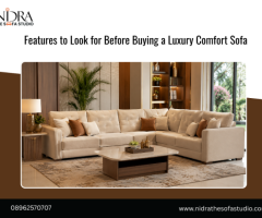 Features to Look for Before Buying a Luxury Comfort Sofa