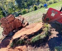 Stump Grinding in Santa Rosa