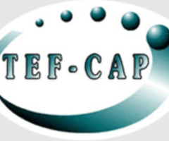 Tef Cap Industries