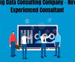 Big Data Consulting Company in Wellington