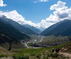 Observe the Varied Wildlife of Kashmir on The Great Lakes Trek