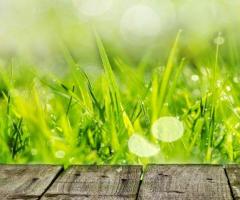 New York’s Premier Landscape Company: Crafting Beautiful Outdoor Spaces