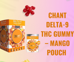 Chant Delta-9 THC Gummy – Mango Pouch